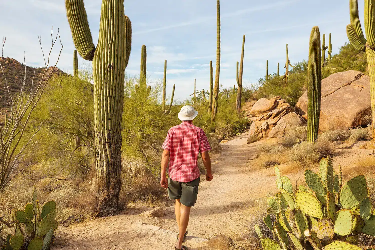 A young man walking through the Arizona desert, feeling great.