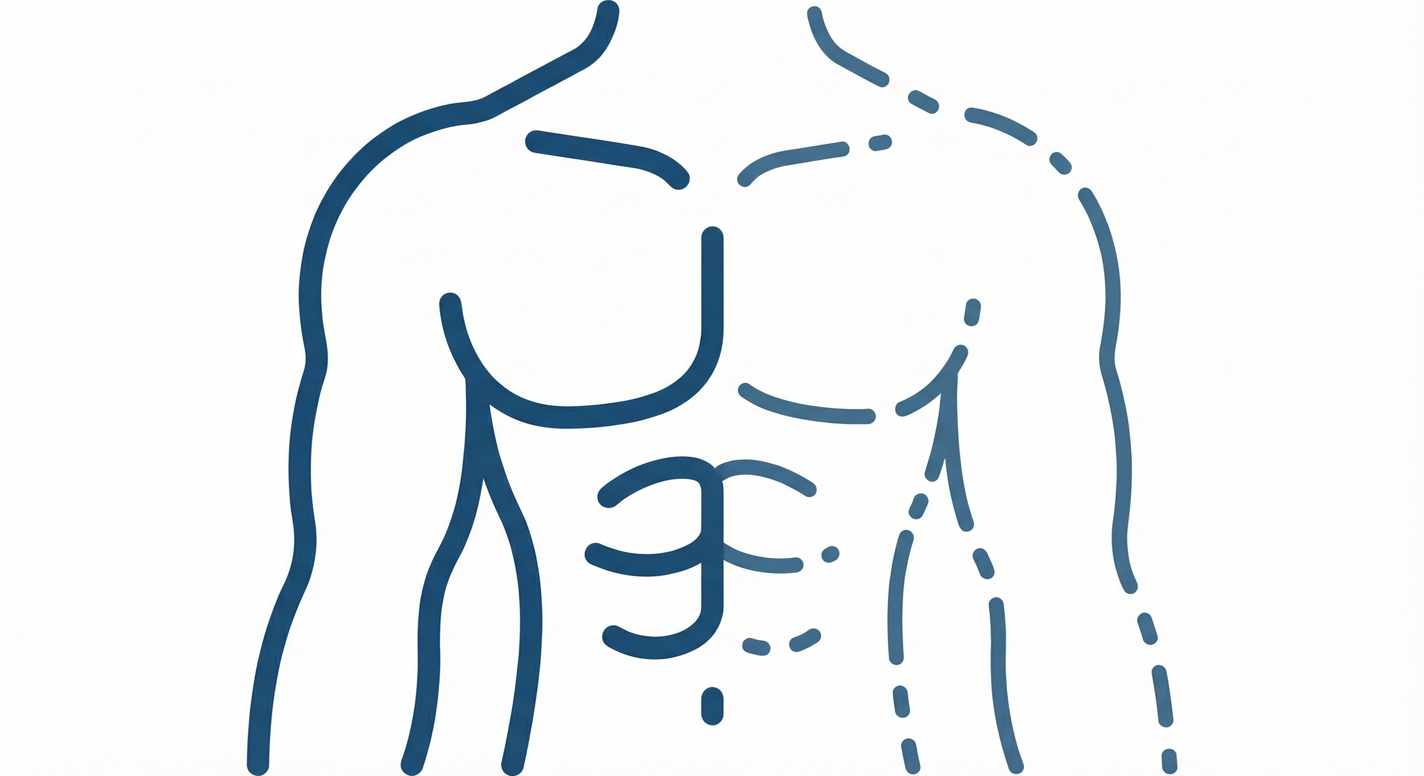 Line drawing of a male torso highlighting muscles and anatomy.