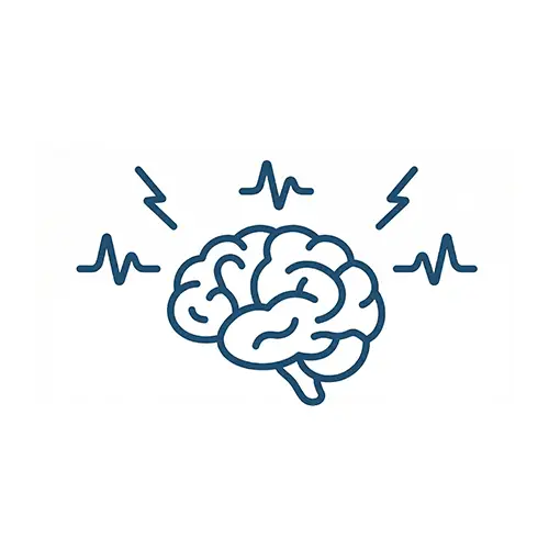 Brain Function